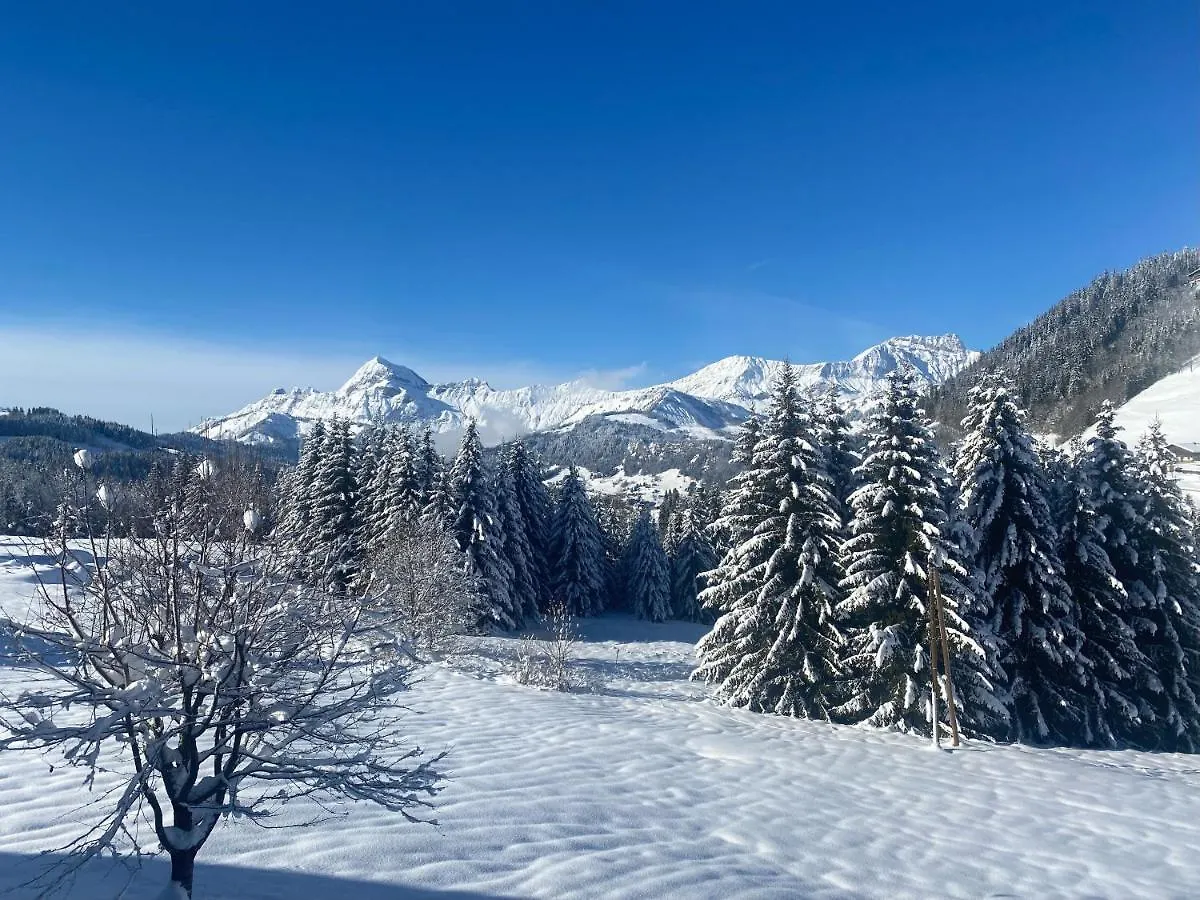 Aparthotel La Ferme Des Georgieres 